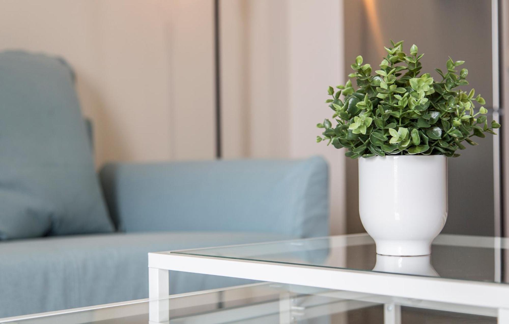 Apartoyou Premium - Apartamentos Casa Linares 圣玛丽亚港 外观 照片